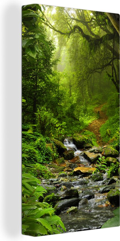 Canvas - Schilderij jungle - Bos - Water - Jungle - Muurdecoratie - Foto op canvas - 40x80 cm