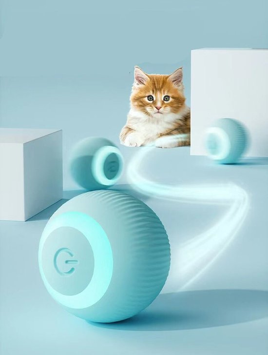 Masyrt 1080P HD Huisdierhalsbandcamera, Compacte Hondentracker met Video-opnamen, voor Katten, Honden en Paardrijden, Geen Merk (64 GB