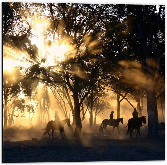 WallClassics - Dibond - Groepje Paarden in Bos verlicht door Zon - 50x50 cm Foto op Aluminium (Wanddecoratie van metaal)