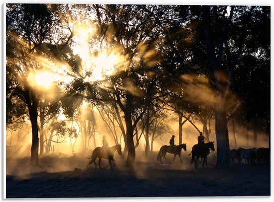 WallClassics - Panneau en mousse PVC – Groupe de Paarden dans une forêt éclairée par le soleil – Photo 40 x 30 cm sur panneau en mousse PVC