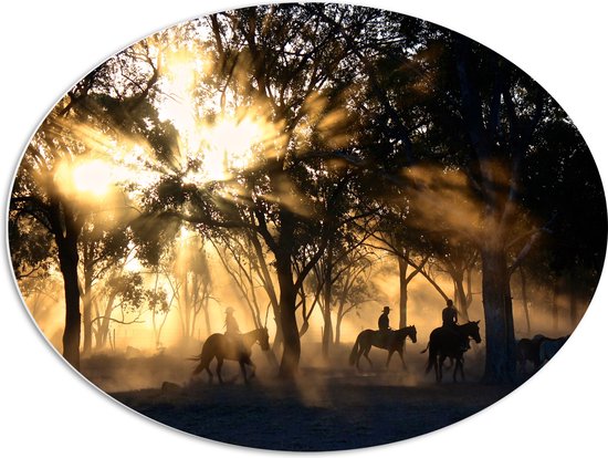 WallClassics - PVC Schuimplaat Ovaal - Groepje Paarden in Bos verlicht door Zon - 80x60 cm Foto op Ovaal  (Met Ophangsysteem)