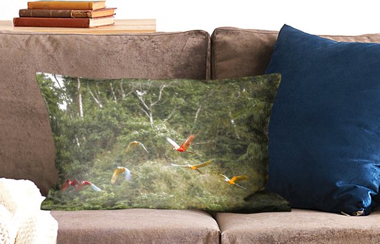 Sierkussen pour la vie forestière à l'intérieur - Perroquets dans la forêt tropicale - 60x40 cm - Coussin rectangulaire en coton
