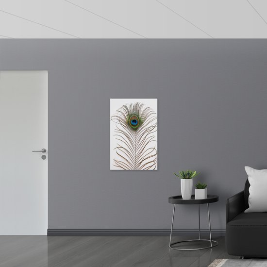 WallClassics - Dibond - Plume de Paon sur Fond Witte - 60x90 cm Photo sur Aluminium (Décoration murale en métal)
