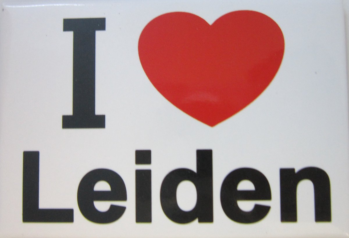 Koelkast magneet I love Leiden.