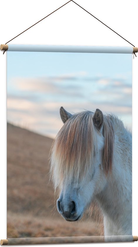 WallClassics - Affiche Textile - Shetland avec des cheveux devant les yeux - 60x90 cm Photo sur Textile