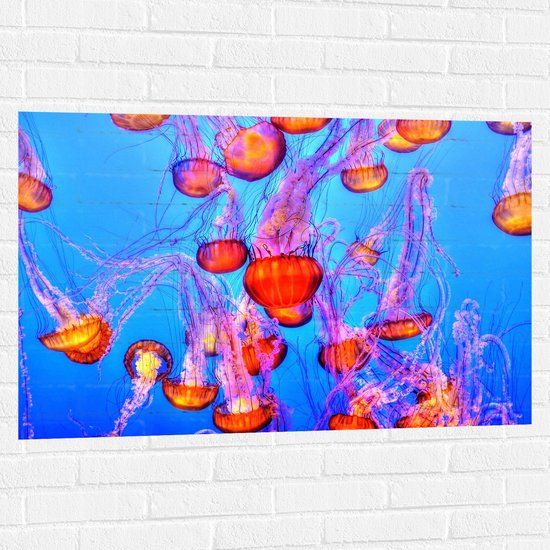 WallClassics - Muursticker - Oranje Kwallen in Blauwe Zee - 105x70 cm Foto op Muursticker