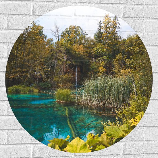 WallClassics - Muursticker Cirkel - Helder Blauw Water tussen Groene Planten - 80x80 cm Foto op Muursticker
