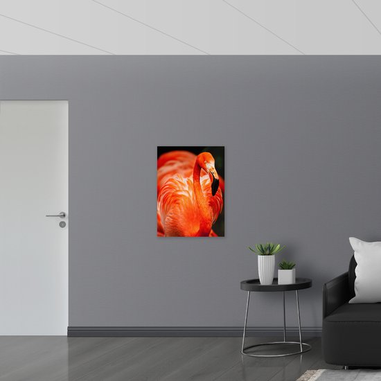 Acrylglas - Rode Flamingo - 60x80 cm Foto op Acrylglas (Wanddecoratie op Acrylaat)