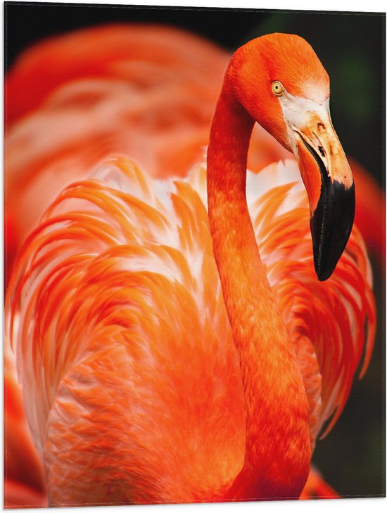 WallClassics - Vlag - Rode Flamingo - 60x80 cm Foto op Polyester Vlag