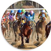 WallClassics - Dibond Muurcirkel - Paarden Race - 80x80 cm Foto op Aluminium Muurcirkel (met ophangsysteem)