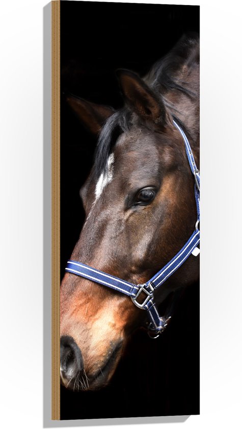 WallClassics - Hout - Paardenhoofd met Zwarte Achtergrond - 30x90 cm - 12 mm dik - Foto op Hout (Met Ophangsysteem)