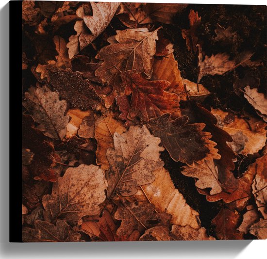 WallClassics - Canvas  - Herfstbladeren op Hoop - 40x40 cm Foto op Canvas Schilderij (Wanddecoratie op Canvas)