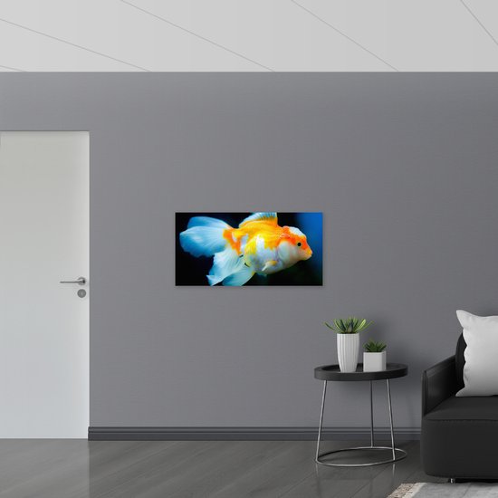 WallClassics - Poster (Matte) - Poisson Witte Oranje - 100x50 cm Photo sur Papier Poster avec un aspect Mat