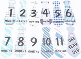 12 Milestone kaarten stropdas maanden van het 1e jaar - fotoprops - milestone - stropdas - cakesmash - geboorte - babyshower