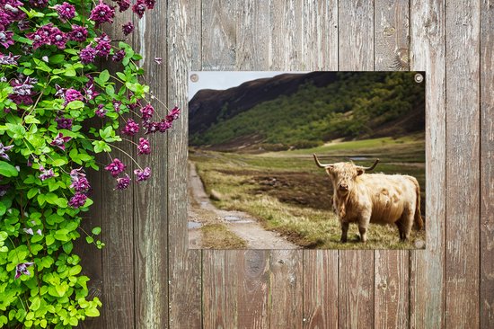 Décoration de Jardin Highlander écossais - Chemin - Forêt - 40x30 cm - Toile de jardin - Poster extérieur