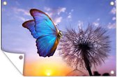 Posters de jardin extérieur Papillon - Coucher de soleil - Pissenlit - Blauw - 90x60 cm - Toile jardin - Affiche extérieur
