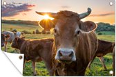 Décoration murale Vaches - Soleil - Pâturage - Campagne - 180x120 cm - Poster jardin - Toile jardin - Poster extérieur