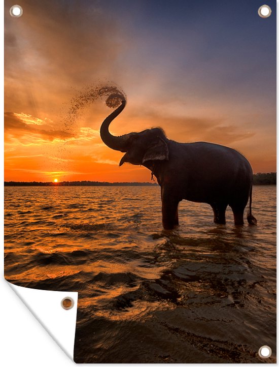 Décoration de Jardin Eléphant Mer Animaux Coucher de soleil