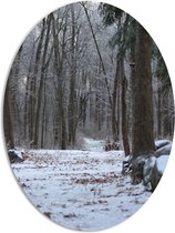 WallClassics - Panneau de mousse PVC ovale - Forêt d'hiver - 72x96 cm Photo sur ovale (avec système de suspension)