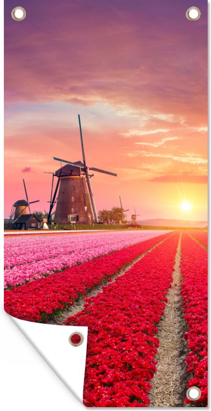 Tuinposter 'Tunnel met bloemen' - Teun's Tuinposters