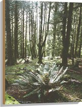 WallClassics - Hout - Grote Groene Varenplant in Bos - 60x80 cm - 12 mm dik - Foto op Hout (Met Ophangsysteem)
