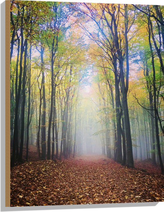 WallClassics - Hout - Mist aan het Einde van het Bos - 60x80 cm - 12 mm dik - Foto op Hout (Met Ophangsysteem)