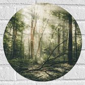 WallClassics - Muursticker Cercle - Forêt Céleste - 40x40 cm Photo sur Muursticker
