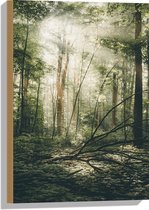 WallClassics - Bois - Forêt céleste - 40x60 cm - 12 mm d'épaisseur - Photo sur bois (avec système de suspension)