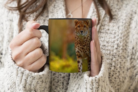 Mug Magique - Mug Photo sur Chaleur - Mug à Café - Animaux Sauvages - Herbe - Léopard - Nature - Mug Magic - Tasse - 350 ML - Mug à Thé