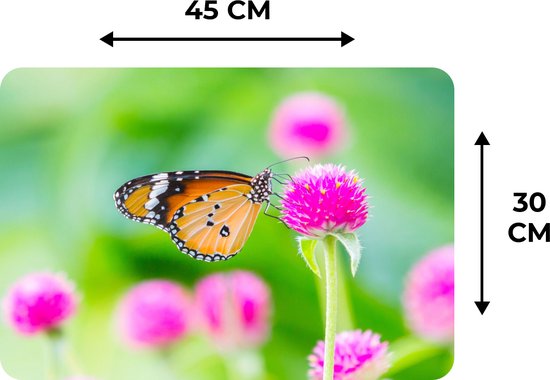 Set de Table - Napperons de Table en Plastique - Rural - Papillon - Chardon - Bloem - 45x30 cm - 6 pièces - Résistant à la Chaleur - Antidérapant - Pad - Amovible