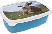Broodtrommel Blauw - Lunchbox - Brooddoos - Koe - Berg - Gras - 18x12x6 cm - Kinderen - Jongen