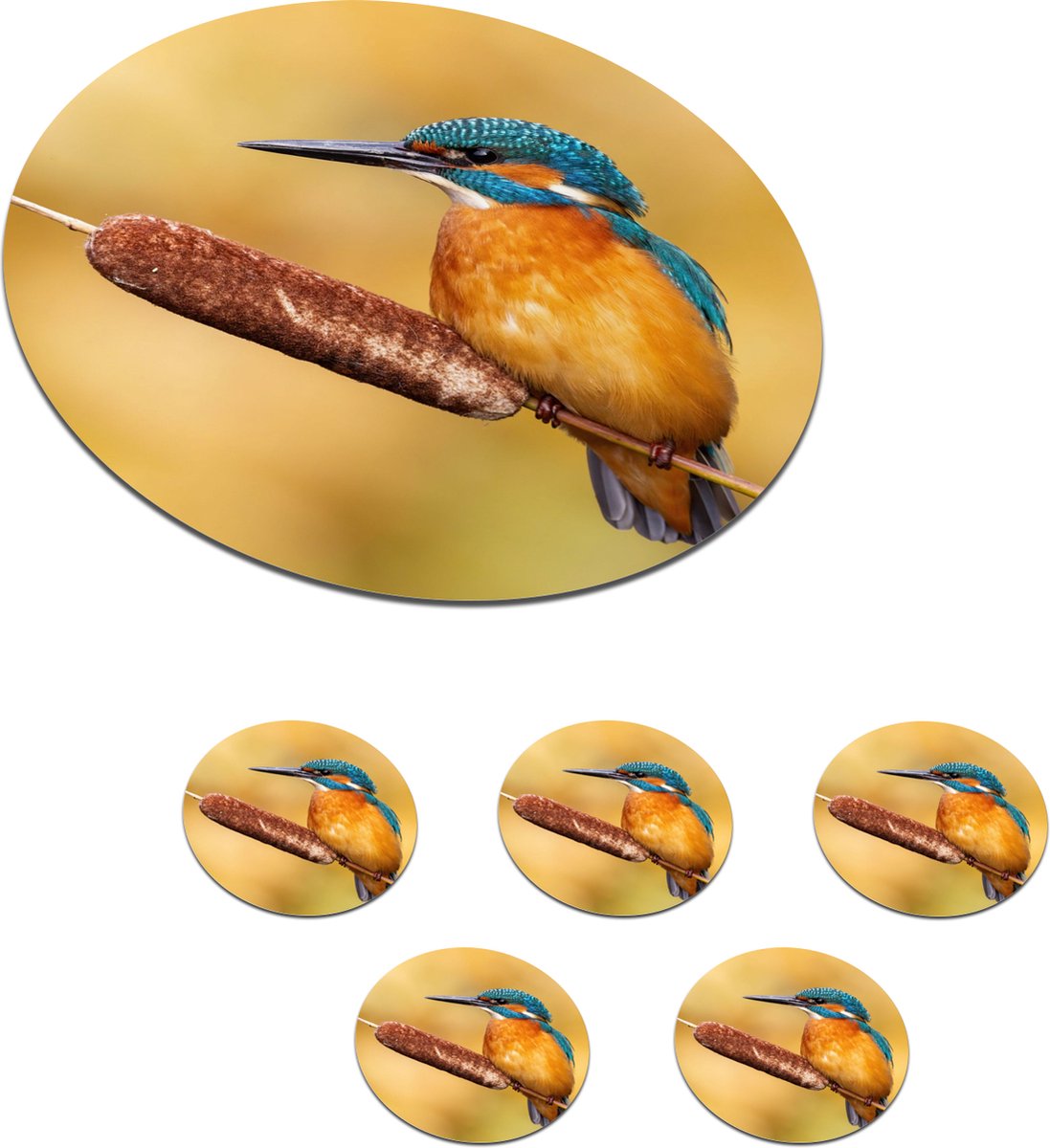 Onderzetters voor glazen - Rond - IJsvogel - Natuur - Vogel - 10x10 cm - Glasonderzetters - 6 stuks