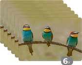 Placemat - Placemats kunststof - Vogels - Dieren - Bijeneter - 45x30 cm - 6 stuks - Hittebestendig - Anti-Slip - Onderlegger - Afneembaar