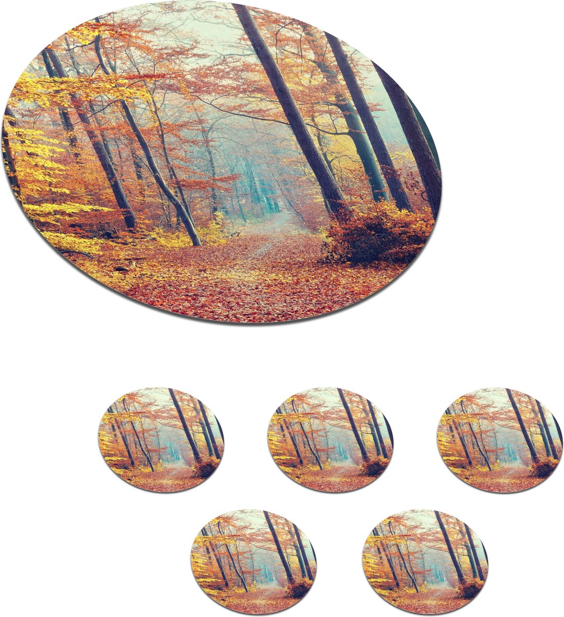 Onderzetters voor glazen - Rond - Bos - Herfst - Bladeren - 10x10 cm - Glasonderzetters - 6 stuks