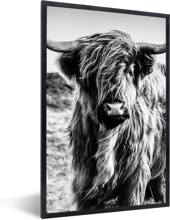 Fotolijst - Poster - Schotse hooglander - Natuur - Koe - Zwart wit - Kader - 20x30 cm - Poster Schotse hooglander - Muurdecoratie - Poster met frame - Foto lijst