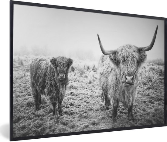 Fotolijst incl. Poster - Schotse hooglanders - Licht - Lucht - Natuur - 120x80 cm - Posterlijst
