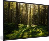 Fotolijst incl. Poster - Bomen - Bos - Mos - Planten - Zon - Natuur - 90x60 cm - Posterlijst