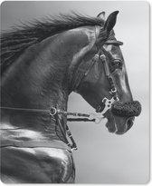 Muismat Groot - Paarden - Zwart - Portret - Dieren - 30x40 cm - Mousepad - Muismat