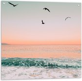 WallClassics - Tuinposter – Vliegende Vogels boven de Zee - 80x80 cm Foto op Tuinposter  (wanddecoratie voor buiten en binnen)