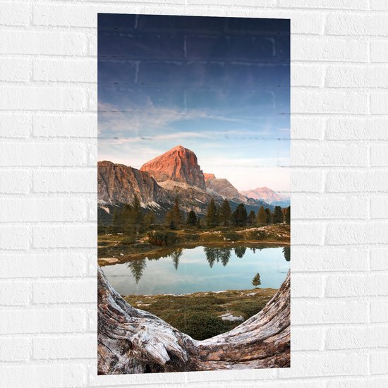 WallClassics - Muursticker - Klein Meertje tussen Bomen en Bergen - 50x100 cm Foto op Muursticker