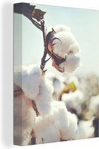 Toile Peinture Plantes - Bloem - Branche - Nature - 120x160 cm - Décoration murale XXL