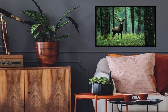 Cadre photo avec affiche - Cerf - Forêt - Arbres - Animaux - Nature - 60x40 cm - Cadre pour affiche