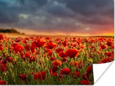 Poster Zonsondergang - Klaprozen - Rood - Bloemen - Veld - Natuur - 120x90 cm