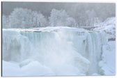 WallClassics - Dibond - Witte Winter Waterval - 60x40 cm Foto op Aluminium (Wanddecoratie van metaal)