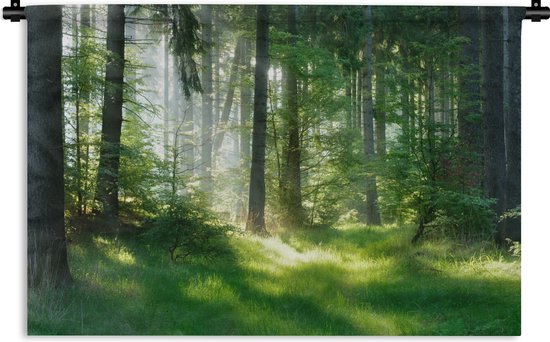 Wandkleed - Wanddoek - Natuur - Bomen - Bos - Groen - Zon - Gras - Planten - 120x80 cm - Wandtapijt