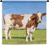 Tapisserie murale - Toile murale - Vaches - Ferme - Herbe - Nature - Animaux - 150x150 cm - Tapisserie