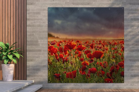 Affiche de Jardin Coucher de soleil - Coquelicots - Rouge - 200x200 cm