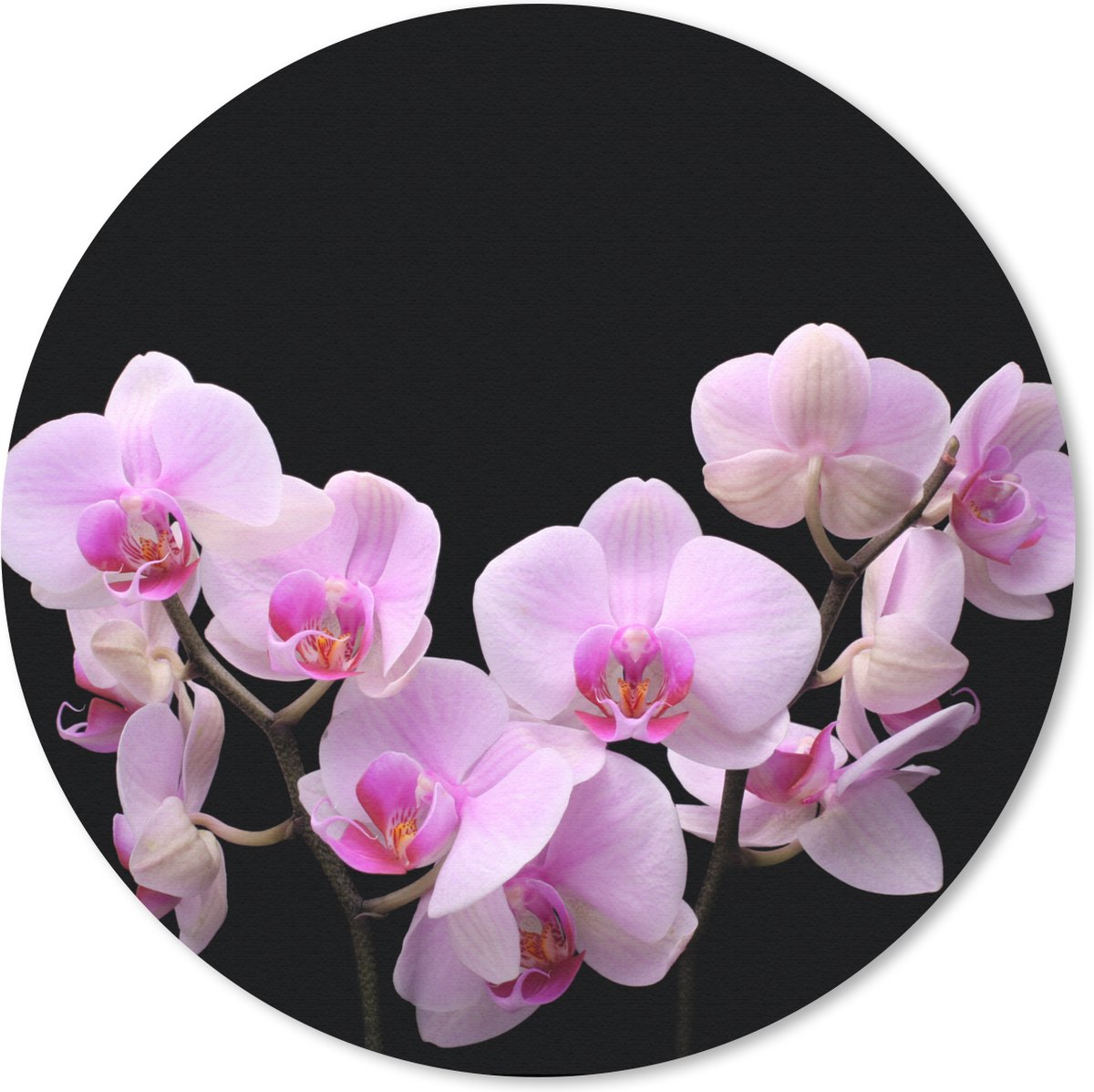 Muismat rond 40x40 cm - Mousepad Orchidee - Bloemen - Roze - Flora - Ronde muismatten