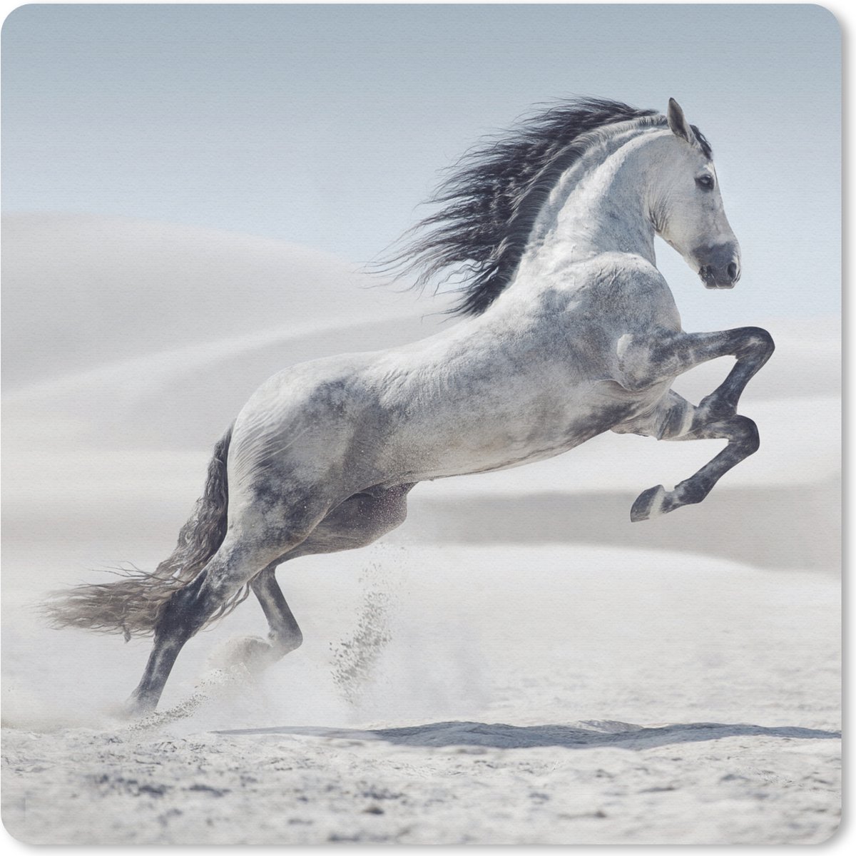 Muismat 20x20 cm - Mousepad Paard - Dieren - Zand - Natuur - Muismatten