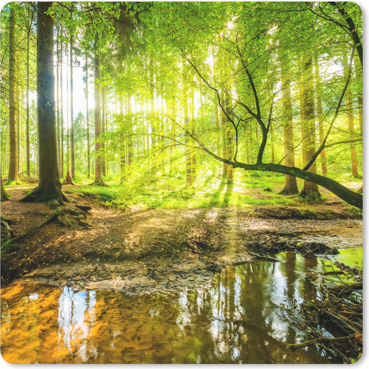 Muismat 30x30 cm - Mousepad Bos - Landschap - Water - Bomen - Zon - Groen - Natuur - Muismatten